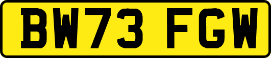 BW73FGW