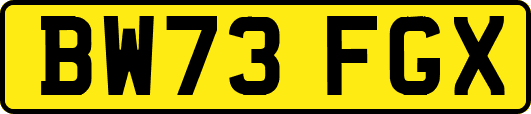 BW73FGX