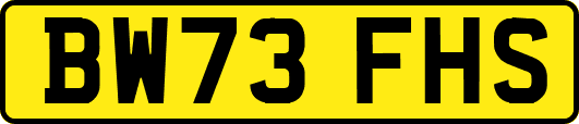 BW73FHS
