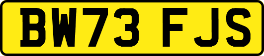 BW73FJS