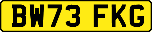 BW73FKG