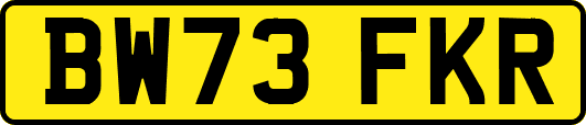 BW73FKR