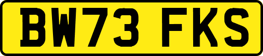 BW73FKS