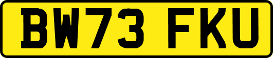 BW73FKU