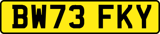BW73FKY