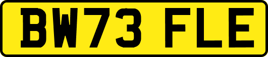 BW73FLE