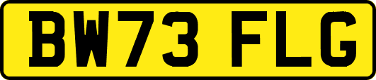BW73FLG
