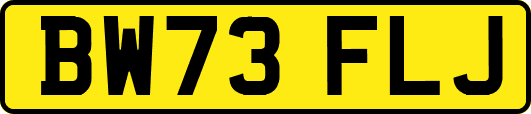 BW73FLJ
