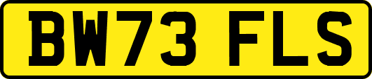 BW73FLS