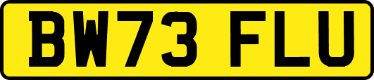 BW73FLU