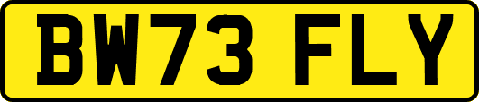 BW73FLY