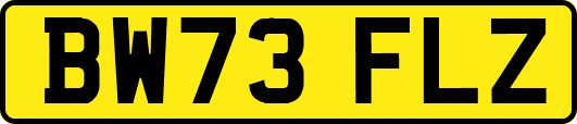 BW73FLZ