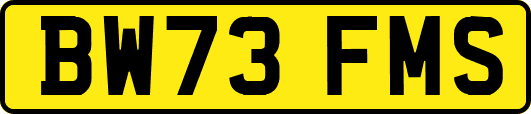 BW73FMS