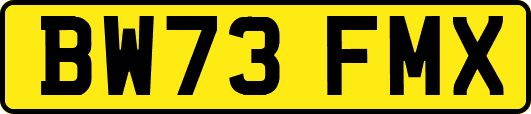 BW73FMX
