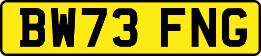 BW73FNG