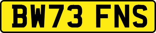 BW73FNS