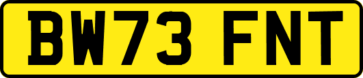 BW73FNT