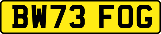 BW73FOG