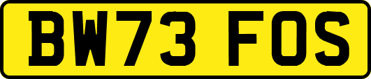 BW73FOS