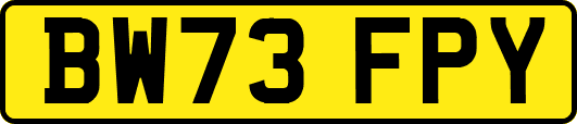 BW73FPY