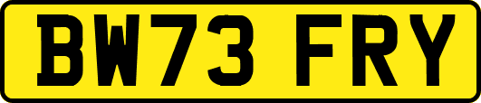 BW73FRY
