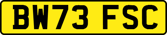 BW73FSC