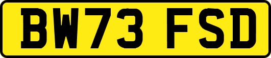 BW73FSD