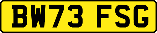 BW73FSG
