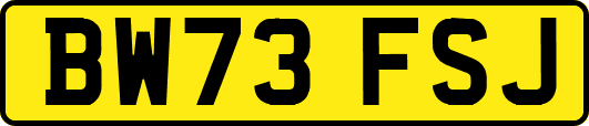 BW73FSJ
