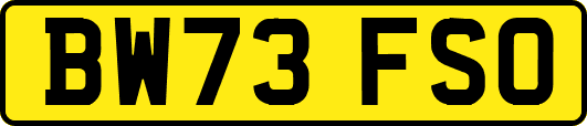 BW73FSO