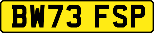 BW73FSP