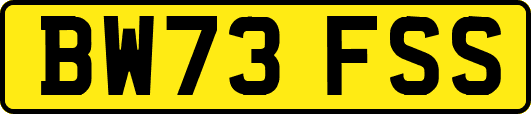 BW73FSS