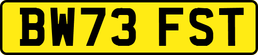 BW73FST
