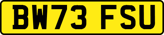 BW73FSU