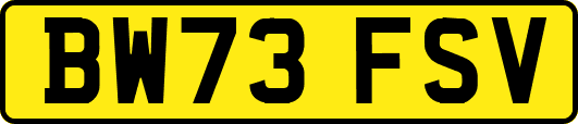 BW73FSV