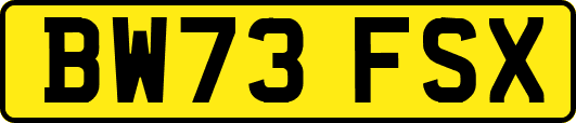 BW73FSX