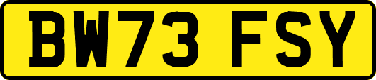 BW73FSY