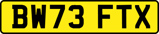 BW73FTX