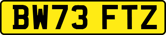 BW73FTZ