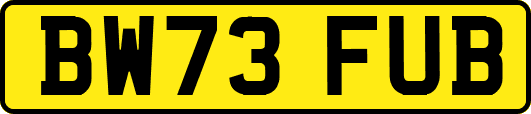 BW73FUB