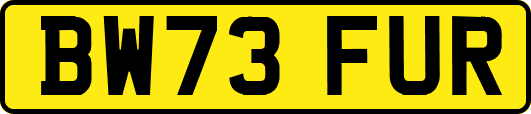 BW73FUR