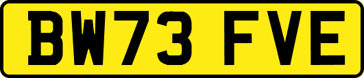 BW73FVE