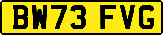 BW73FVG