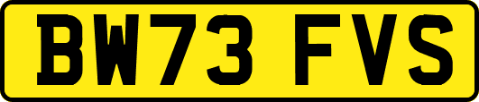 BW73FVS