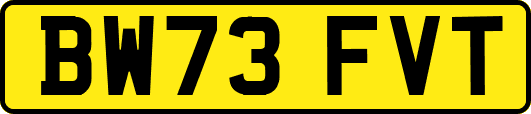 BW73FVT