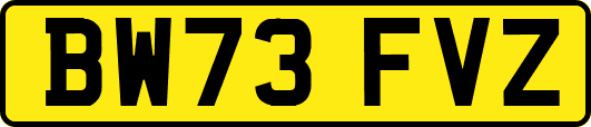 BW73FVZ