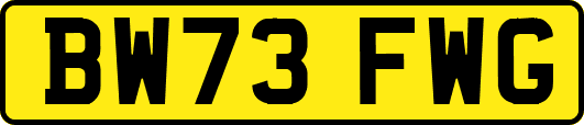 BW73FWG