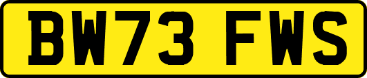 BW73FWS