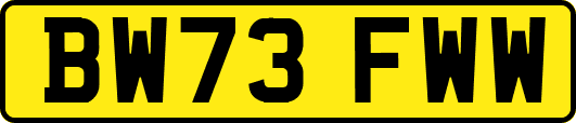 BW73FWW