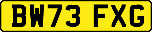 BW73FXG